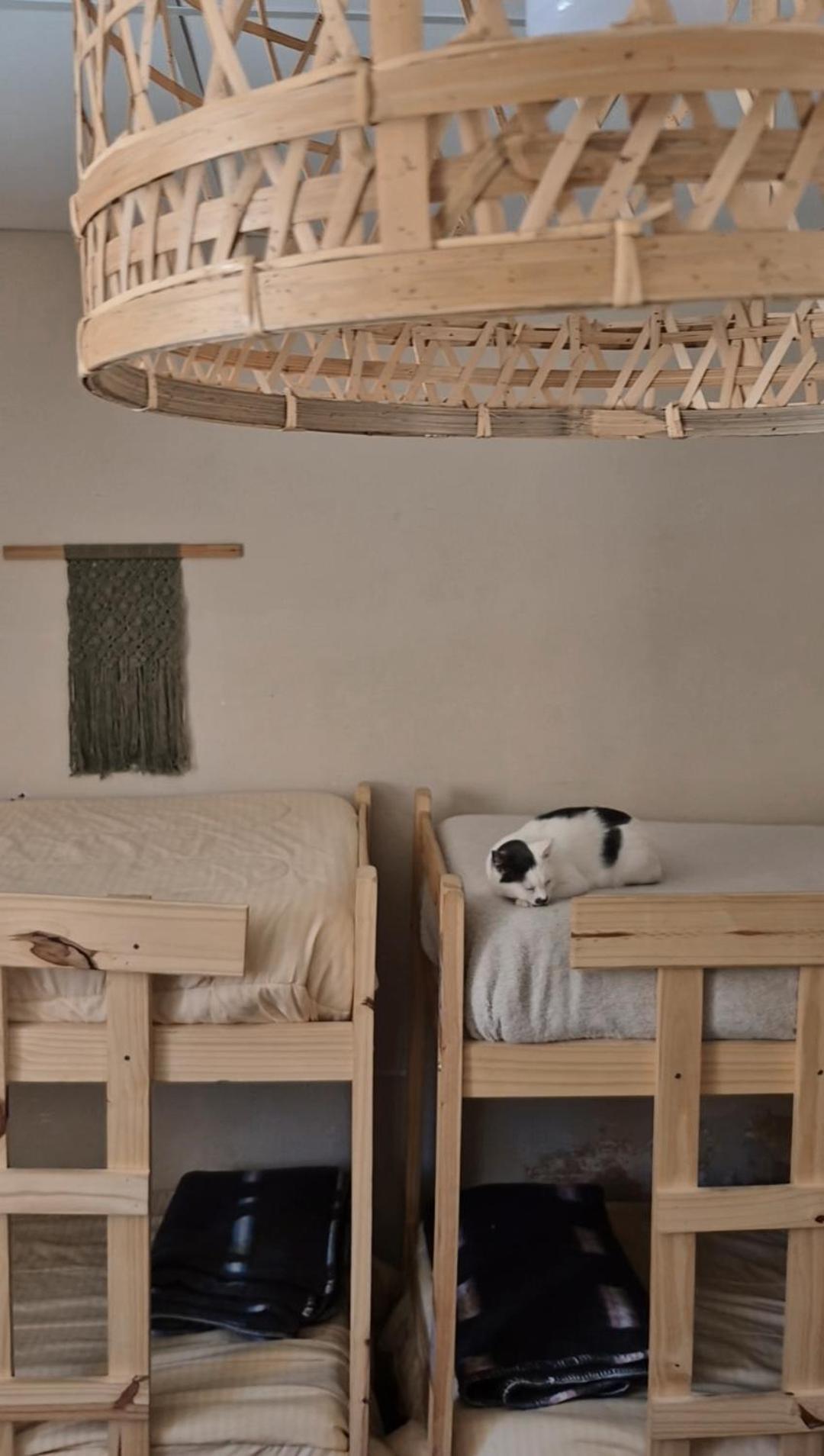 Mestiza Hostal Humahuaca Exterior photo